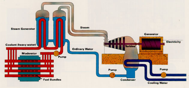 Diagram of a Nuclear Plant