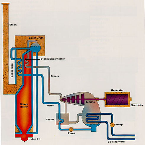 Diagram of a Thermal Plant