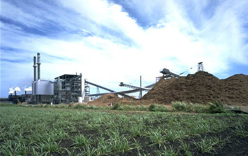 Okeelanta Biomass Power Plant