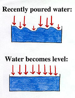 Gravity presses down on high points in water and makes the water level.